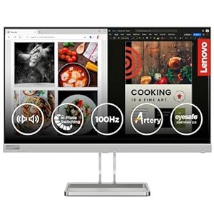 Lenovo L-Series 24 Inch FHD IPS Ultraslim Monitor