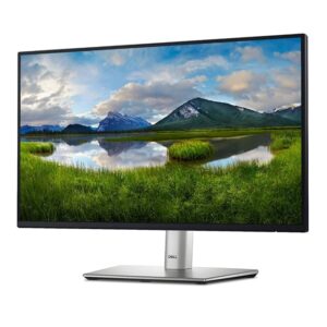 Dell Professional 24 Inch FHD Monitor